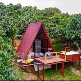 Glamping Entre Mangos, hotel in La Mesa