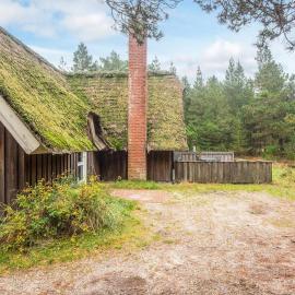 Luxury Retreat in Blavand