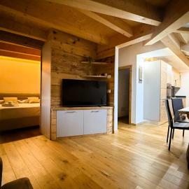 Pragma Apartments - Wood Lodge Predazzo, hotel in Predazzo