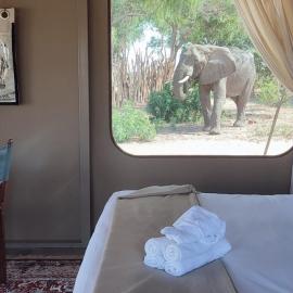 Elephant Crossing Safari Bushcamp, hotel a Chiawa