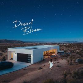 Desert Bloom By The Cohost Company