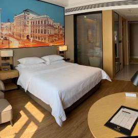 Vienna International Hotel, Hotel in Jiazaiwei