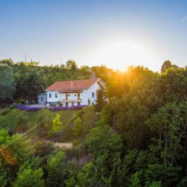 Guest House Ferri e Zani