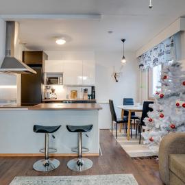 Matti's Charming Studio, hotel in Rovaniemi