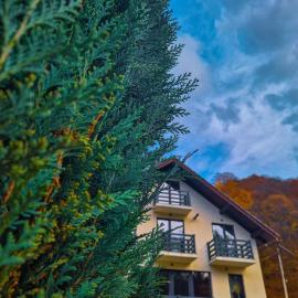 Casa din lunca 2