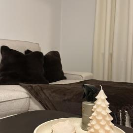 Beautiful apartment in malmo close to centrum