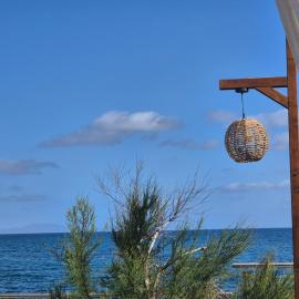HOMESweetHOME