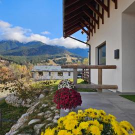 Panoramic Chalet Bran, hotel in Bran