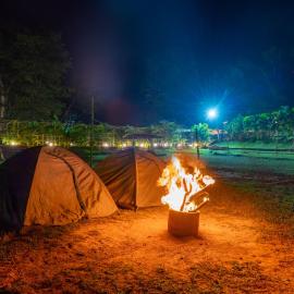 Dandeli में, होटल Dandeli Inn Resort