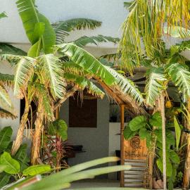Dhiffushi Inn: Dhiffushi şehrinde bir otel