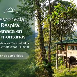 Casa Del Árbol Mirolindo Pijao Quindío, hotel din Pijao