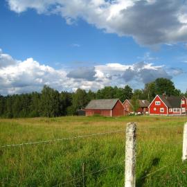 Kråkeskogsgården, nature in town
