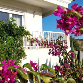 Casa da Alegria Boutique Guest Suite