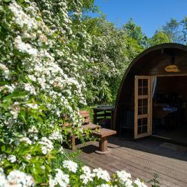 Green Oak Nature Retreat, hotel a Dunfermline