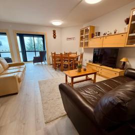 Apartamento La Pinada, hotel in Tramacastilla de Tena