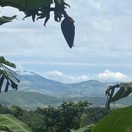 Sítio com água mineral, rio e cachoeira, hotel di Rio Bonito