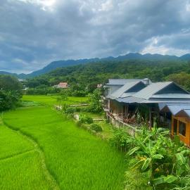 Meadow Mai Chau Homestay, hotel v destinácii Mai Châu