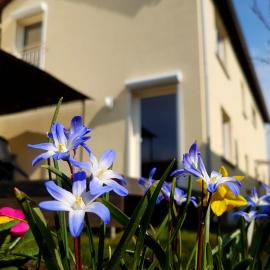 Ferienhaus Senta