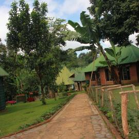 Songota Falls Lodge, מלון בארושה
