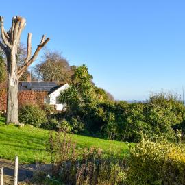 Pines Cottage - Uk42110, hotel in St Margarets at Cliff