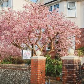 The Cherry Tree B&B, hotel in Eastbourne