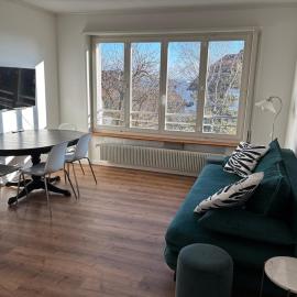 Apartment Lali Peseux, Neuchatel - 1 BR lake and Alps view, hotel sa Neuchâtel
