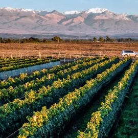 MOT Wine Country 3 Bd Villa Tupungato