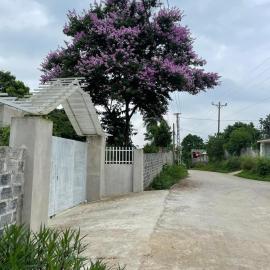 H2 Garden House