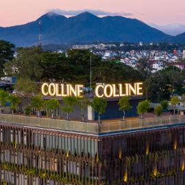 Colline Dalat