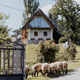 Ferienhaus am HerbstHof, hotel in Leutschach