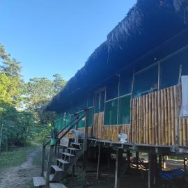 Amazon tucuxi: Mazán'da bir otel