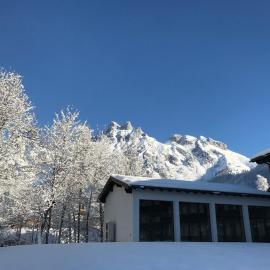 Alpenperle