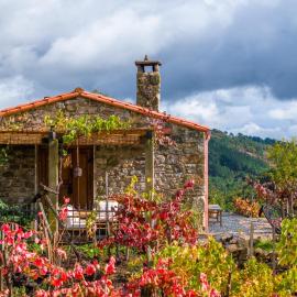 Casiña Raíz Entre viñas y cielo Ribeira Sacra