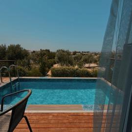 majestic tiny home with private pool, hotel a Trikomo