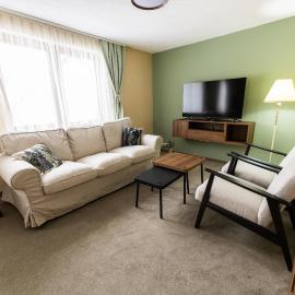 Apartmani ZOV GOLIJE