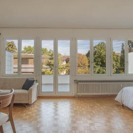 Top floor apartment with two terraces and BaselCard