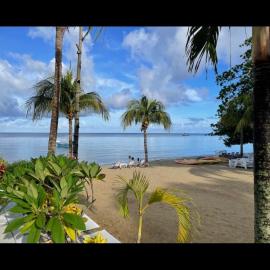 Tropical Jungle House, Hotel in Coxen Hole