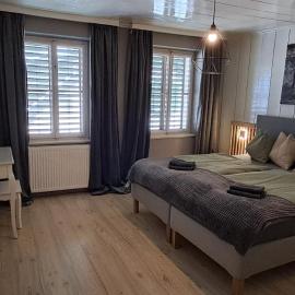XXL Cosy apartments Villa Goisern, centre with mountain view