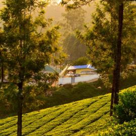 Munnar Valley View – hotel w mieście Munnar