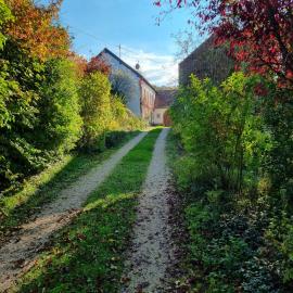 Ferienwohnung Bedhard - Urlaub in der Idylle