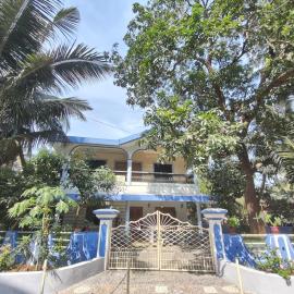 shirley's guest house