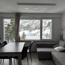 Renovated Studio | Dream Views • Balcony • Free Parking