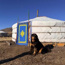 Nomadic home stay, hótel í Ongon