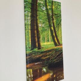 ZV38-Alter Weg-1