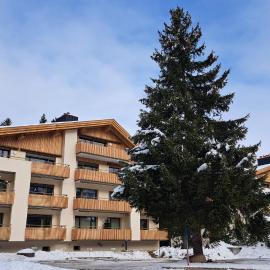 Seegarten B (168 Be), hôtel à Lenzerheide