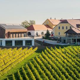 Wine & boutique hotel Terbotz, ξενοδοχείο σε Štrigova