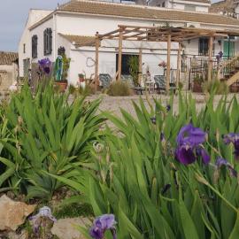 Moclín में, होटल New Leaf Cortijo Apartment ,Moclin