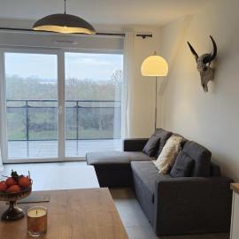 Logement entier appartement Bischoffsheim, hotell i Bischoffsheim