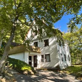 Ferienhaus Lemmerwald