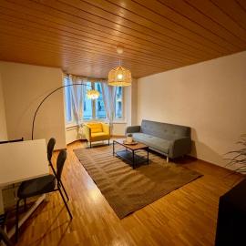 Zurich Essentials Simple Apartment